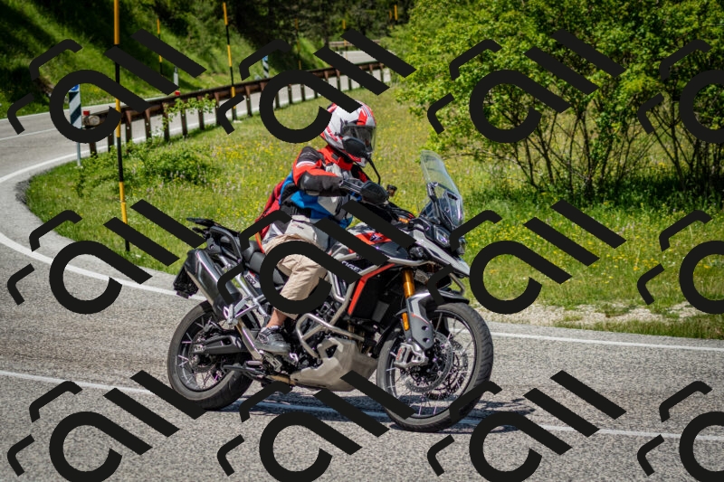 202506071248-DSC_5483_c2