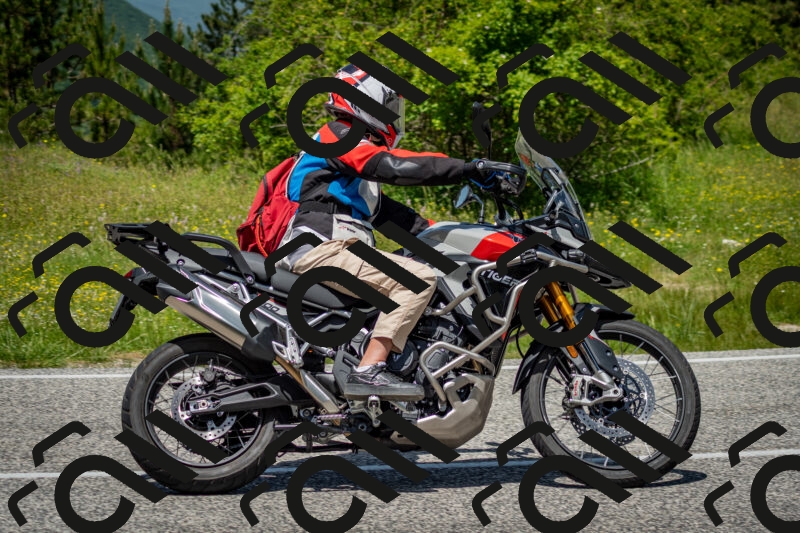 202506071248-DSC_5484_c2