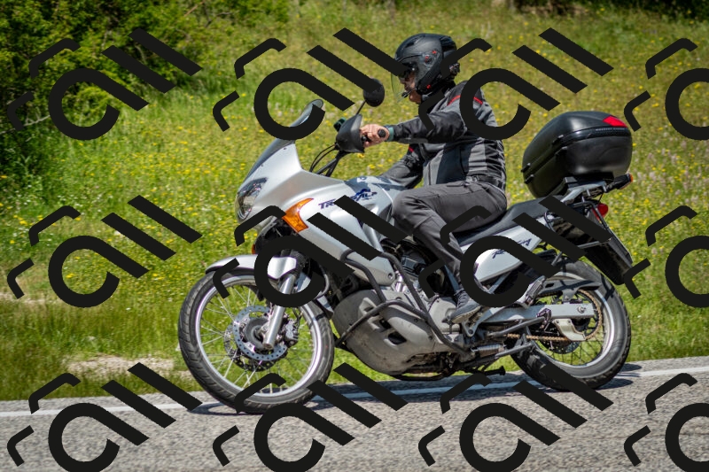 202506071251-DSC_5485_c2