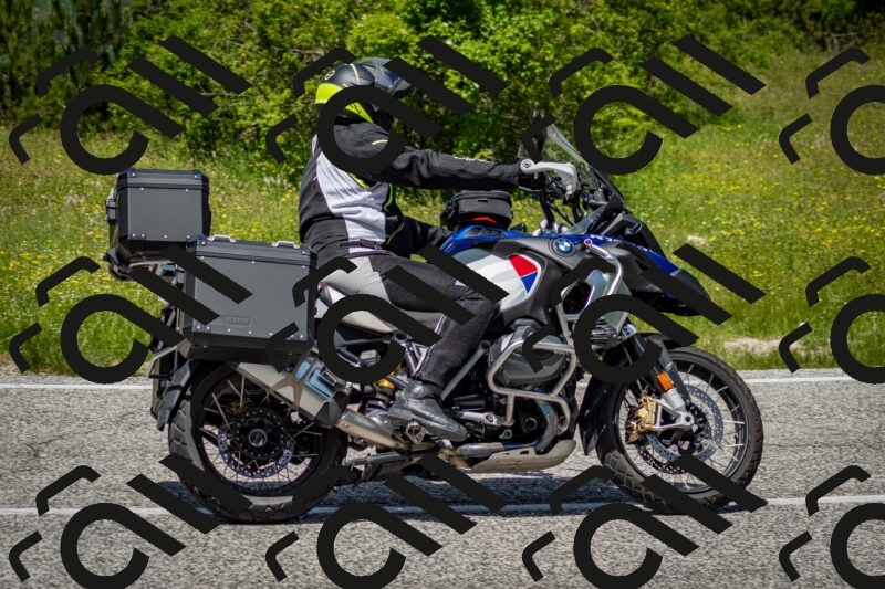 202506071254-DSC_5503_c2