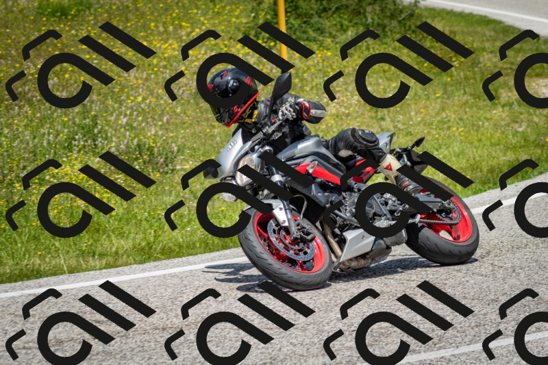 202506071254-DSC_5507_c2