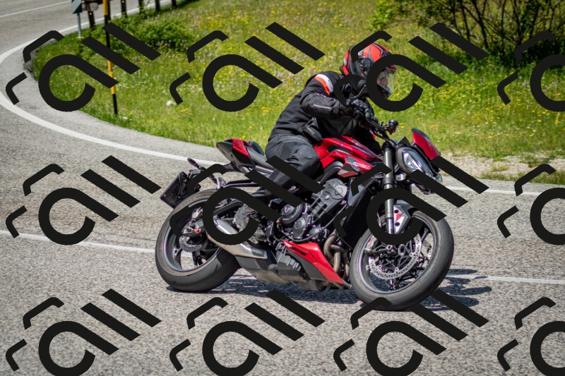 202506071254-DSC_5510_c2