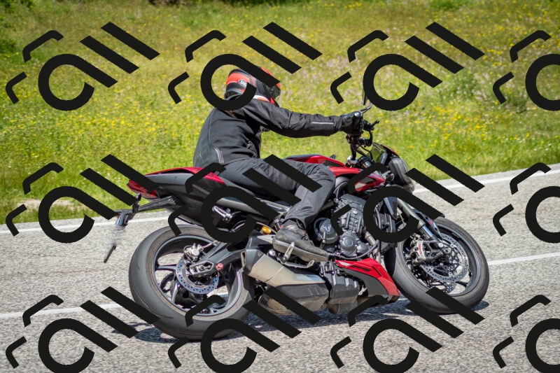 202506071254-DSC_5511_c2