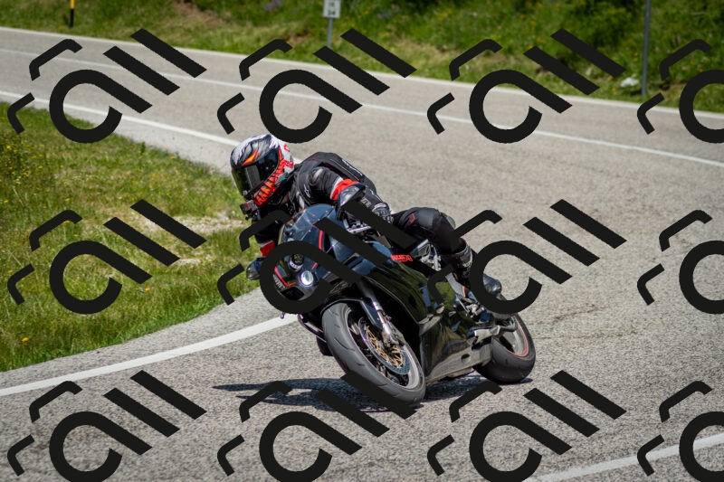 202506071259-DSC_5524_c2