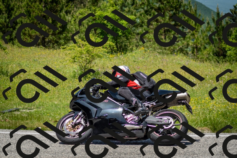 202506071259-DSC_5526_c2