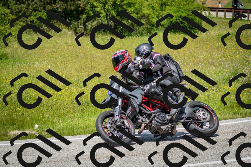 202506071259-DSC_5528_c2