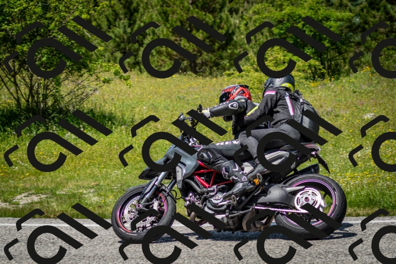 202506071259-DSC_5529_c2