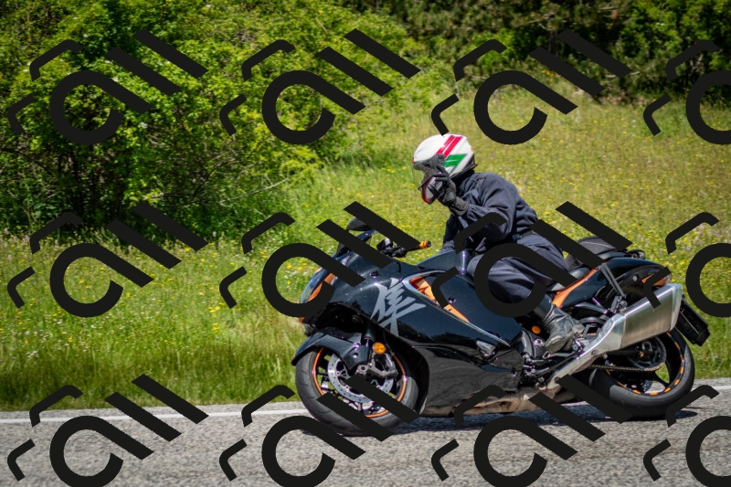 202506071259-DSC_5531_c2