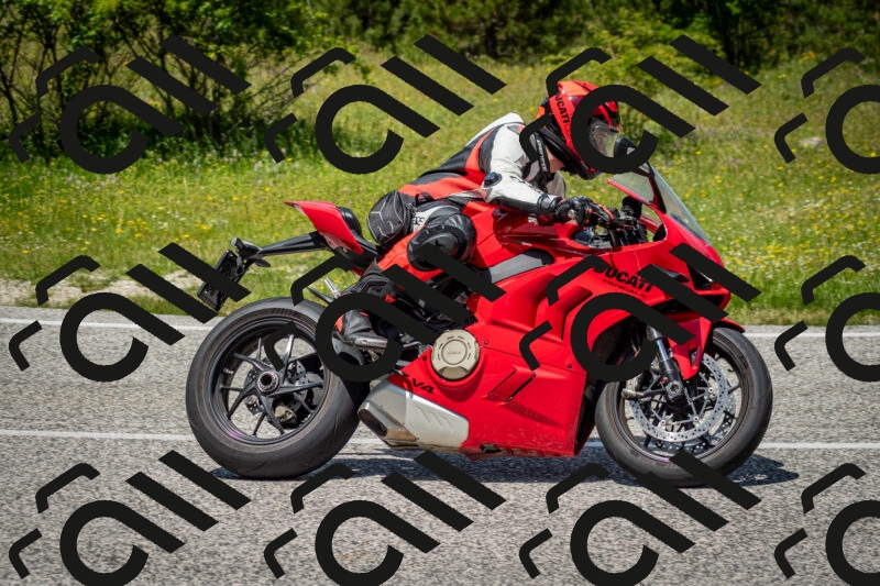 202506071259-DSC_5534_c2