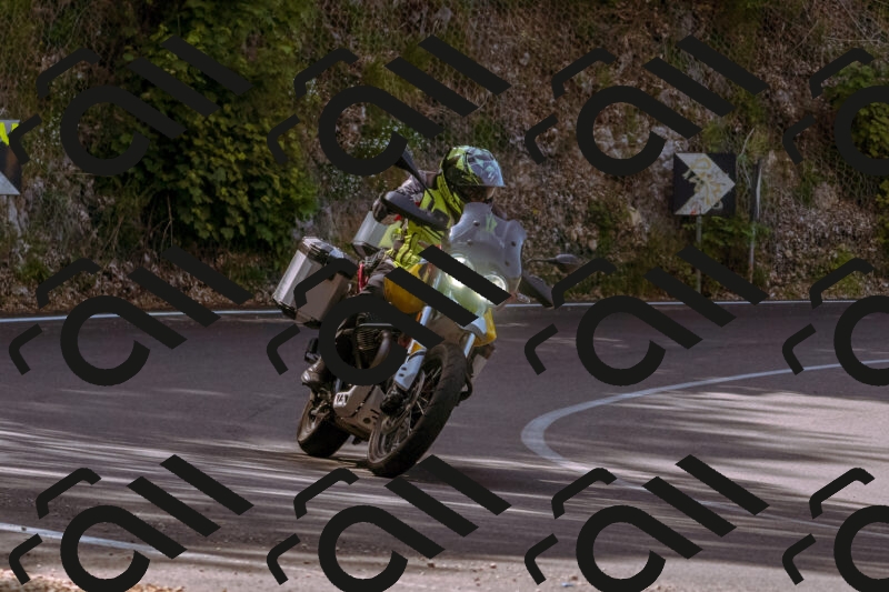 202506071042-_DSC7131_d1_