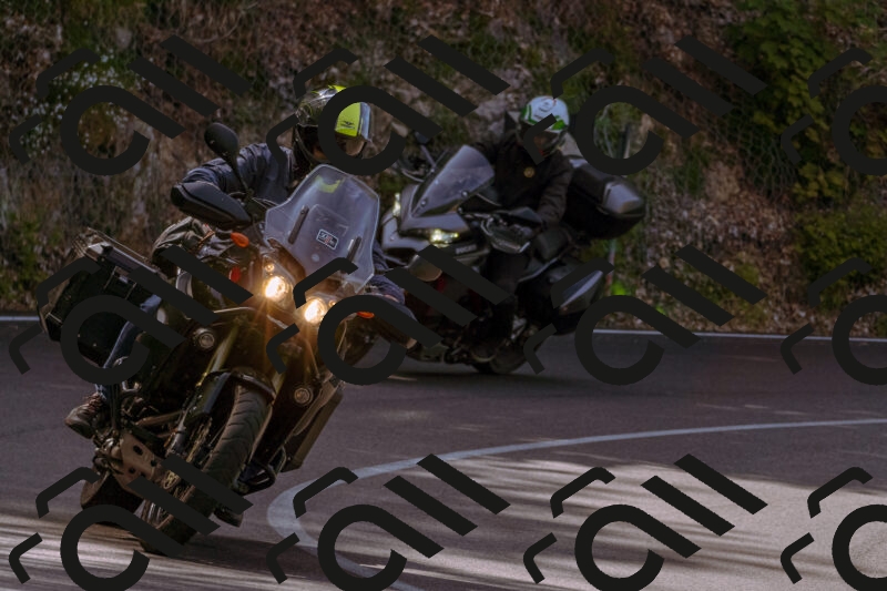 202506071042-_DSC7134_d1_