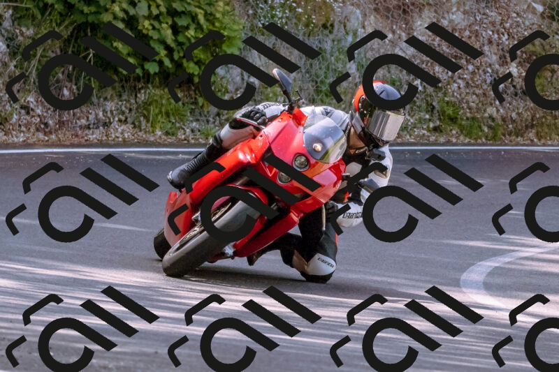 202506071046-_DSC7140_d1_