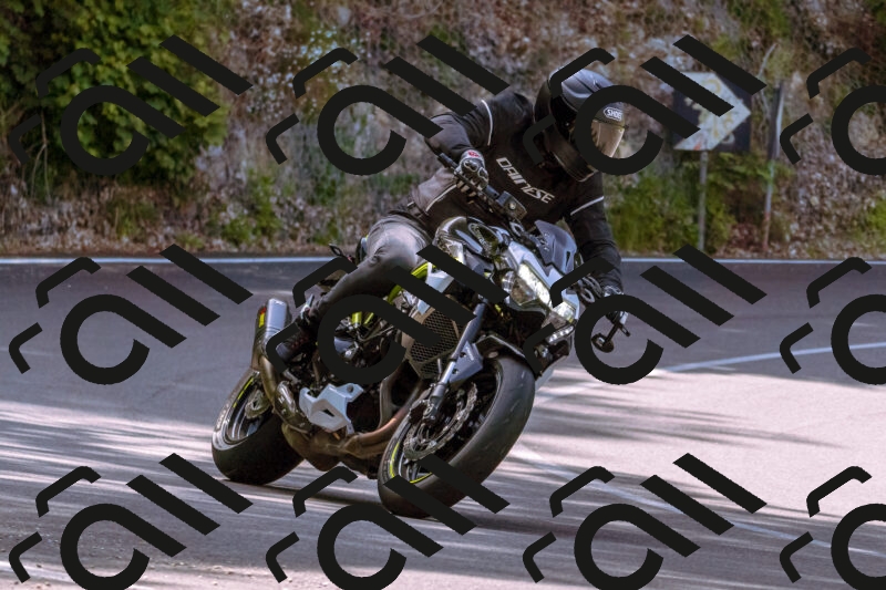 202506071048-_DSC7144_d1_