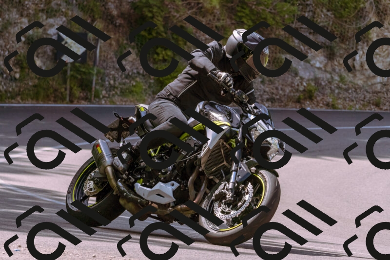 202506071048-_DSC7145_d1_