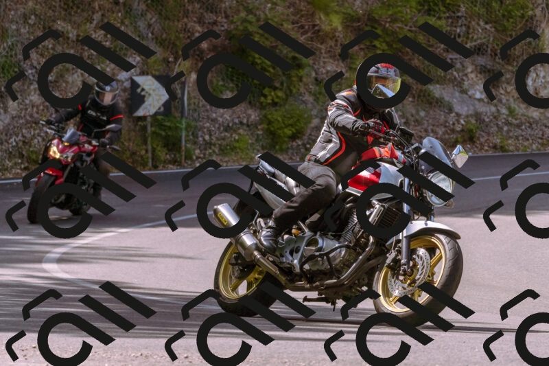 202506071050-_DSC7161_d1_