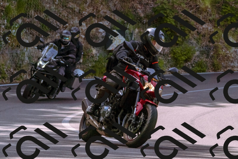 202506071050-_DSC7164_d1_