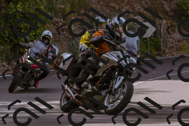 202506071050-_DSC7175_d1_