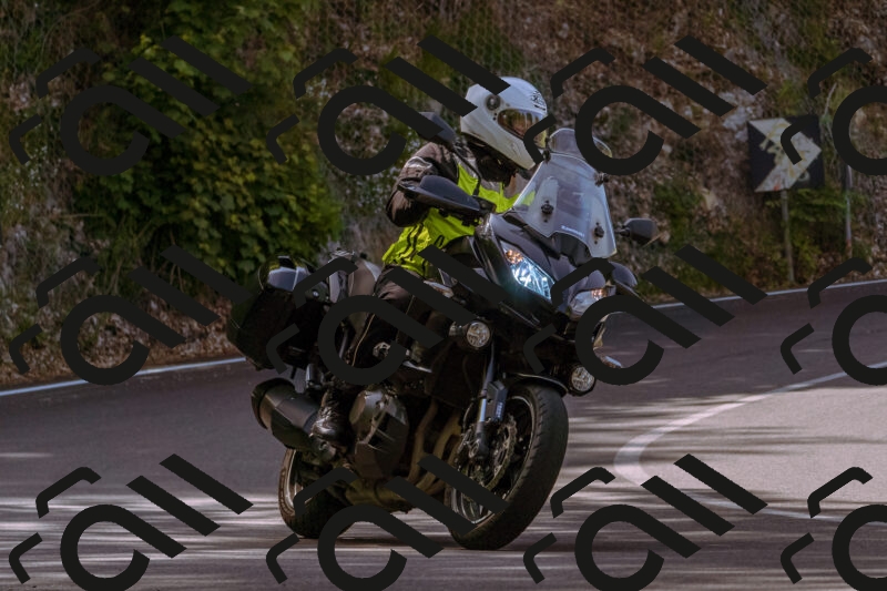 202506071050-_DSC7194_d1_