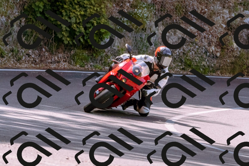 202506071053-_DSC7206_d1_