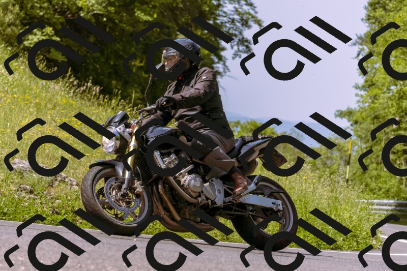 202506071057-_DSC7223_d1_