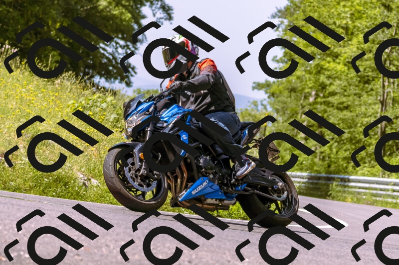 202506071058-_DSC7228_d1_