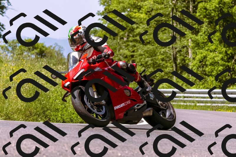 202506071102-_DSC7236_d1_