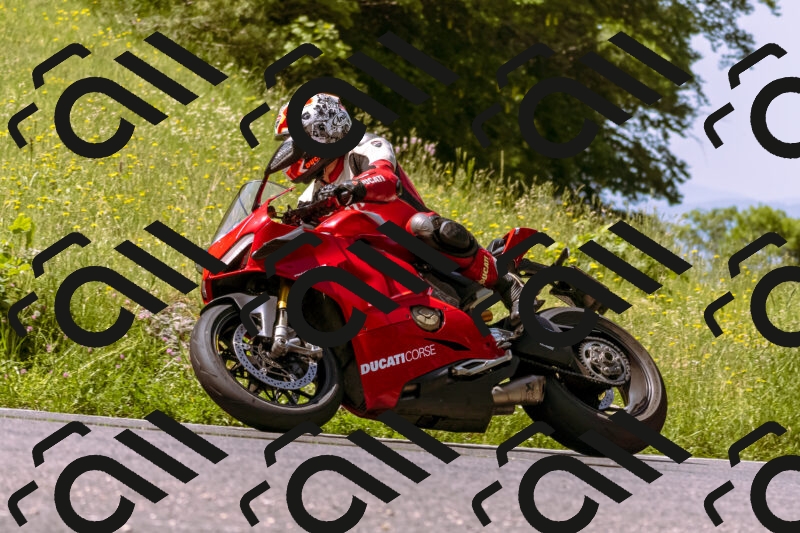 202506071102-_DSC7237_d1_