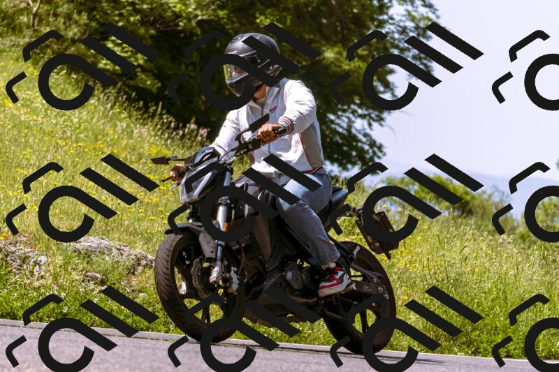 202506071106-_DSC7241_d1_