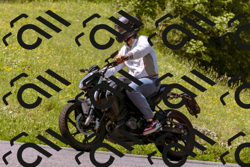 202506071106-_DSC7242_d1_