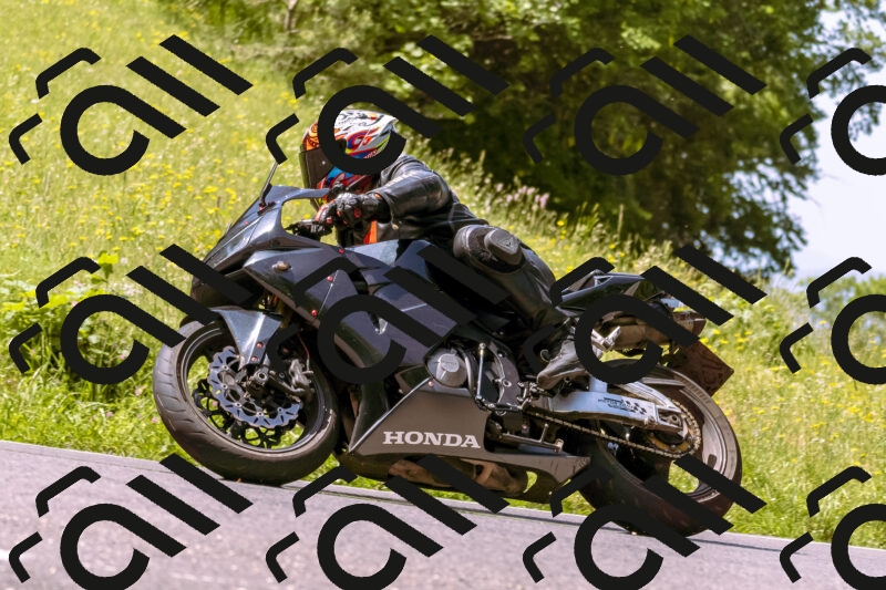 202506071109-_DSC7249_d1_