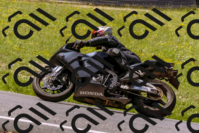 202506071109-_DSC7250_d1_