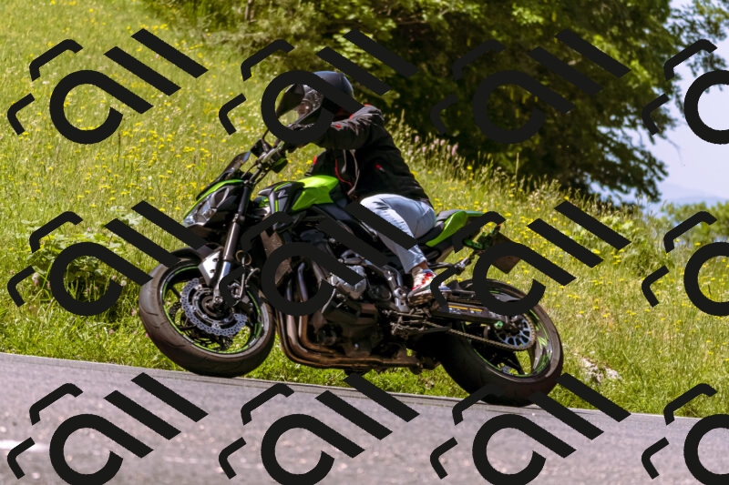 202506071109-_DSC7255_d1_