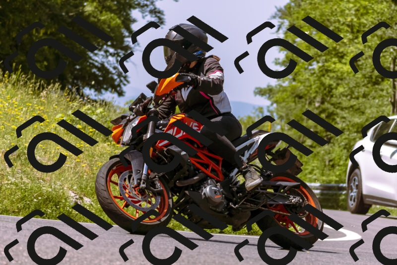 202506071110-_DSC7264_d1_