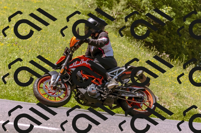 202506071110-_DSC7265_d1_