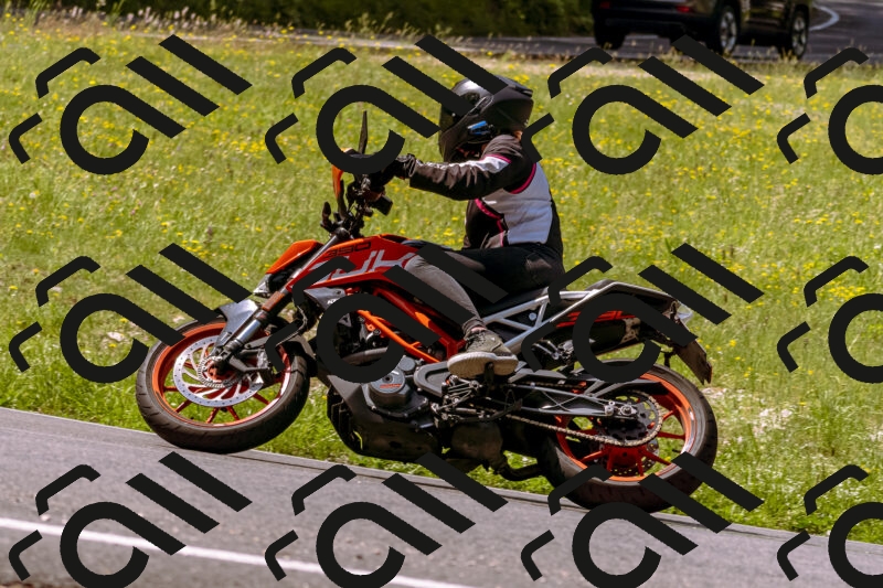 202506071110-_DSC7266_d1_