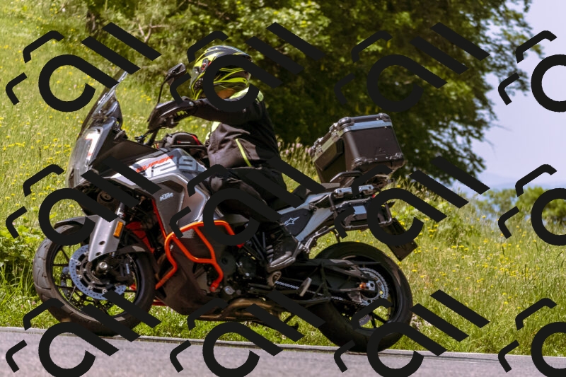 202506071111-_DSC7269_d1_