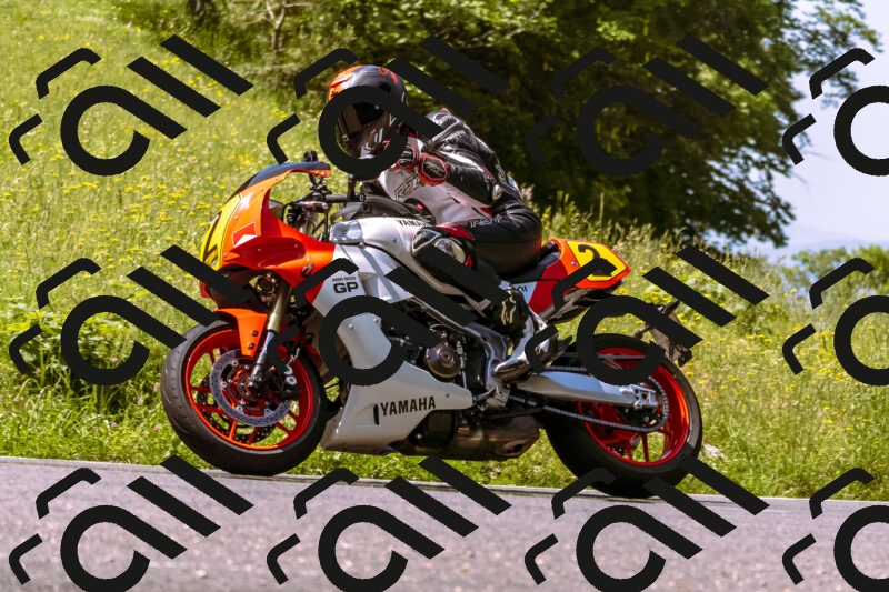 202506071111-_DSC7270_d1_