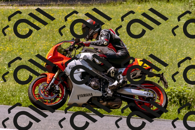 202506071111-_DSC7271_d1_