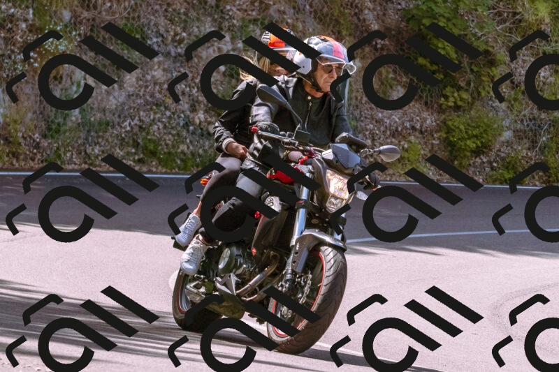 202506071111-_DSC7273_d1_