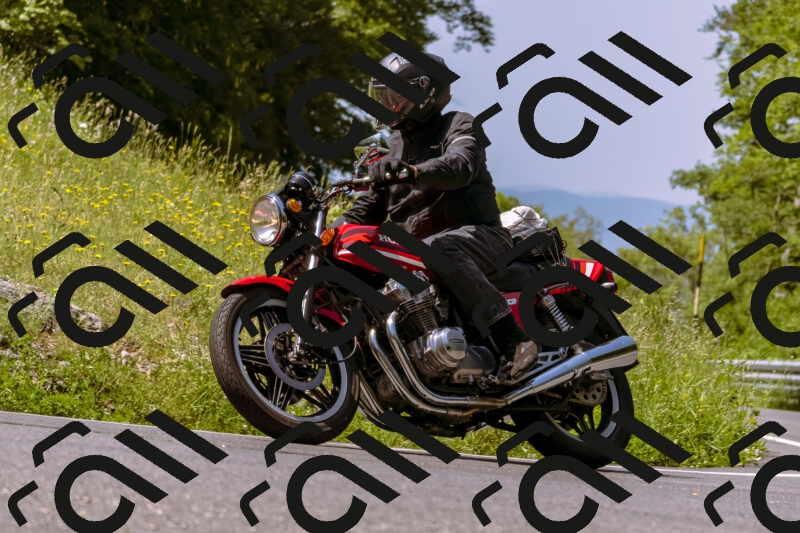 202506071114-_DSC7282_d1_