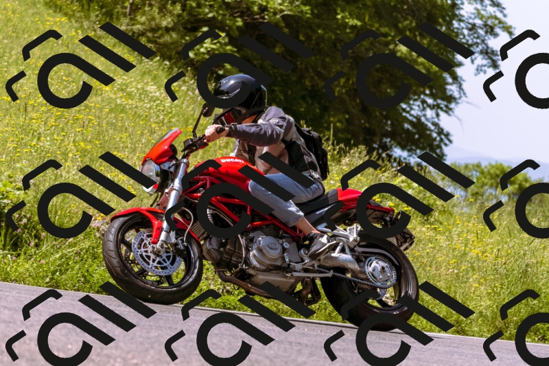 202506071115-_DSC7286_d1_