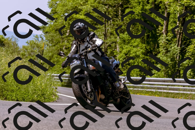 202506071115-_DSC7288_d1_