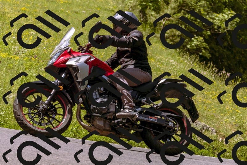 202506071115-_DSC7296_d1_