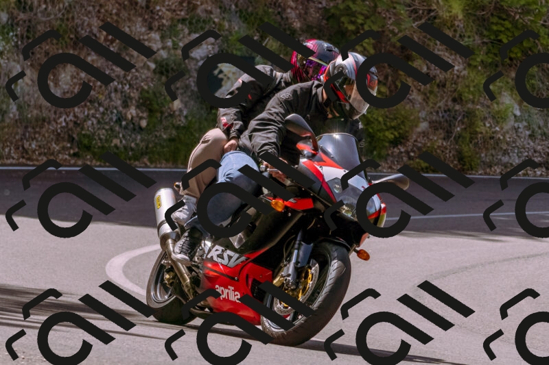 202506071117-_DSC7307_d1_