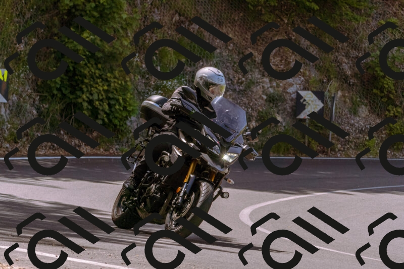 202506071120-_DSC7311_d1_