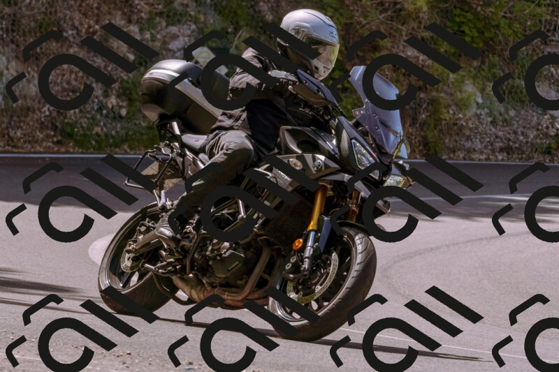 202506071120-_DSC7312_d1_