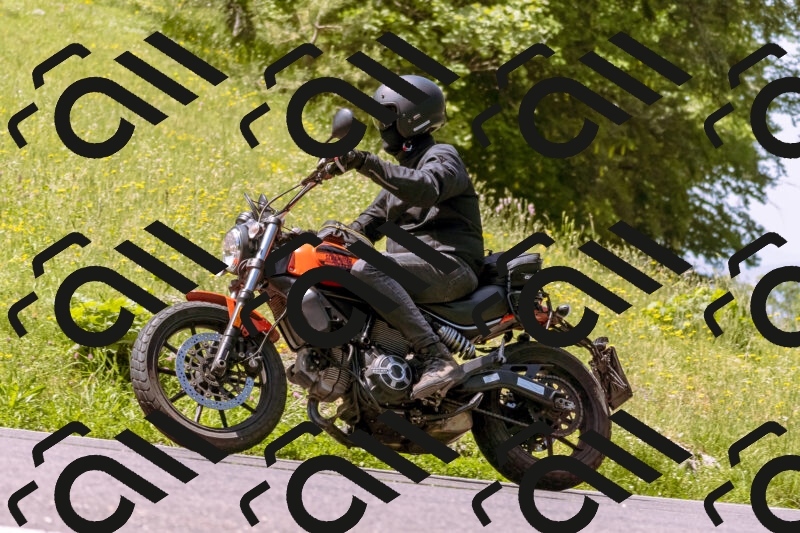 202506071121-_DSC7319_d1_