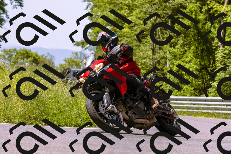 202506071125-_DSC7331_d1_