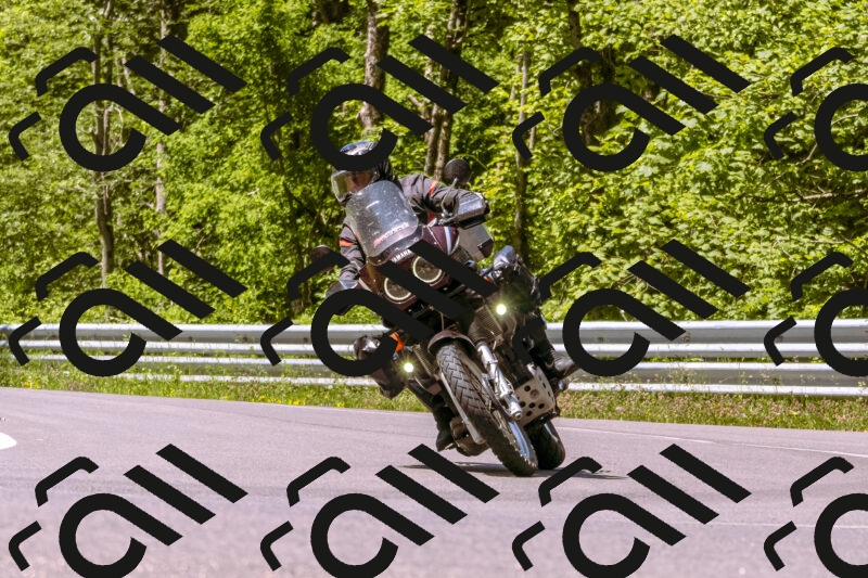 202506071126-_DSC7334_d1_