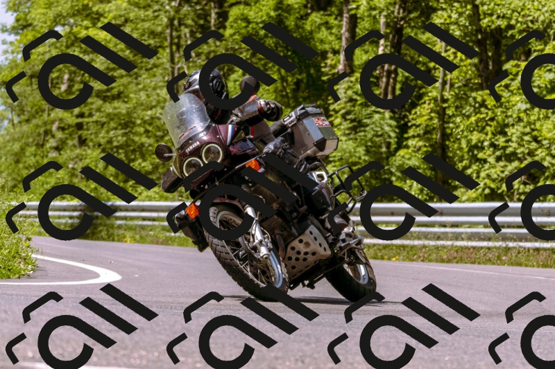 202506071126-_DSC7335_d1_